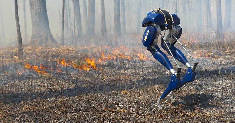 Cassie Blue walking through smoky terrain